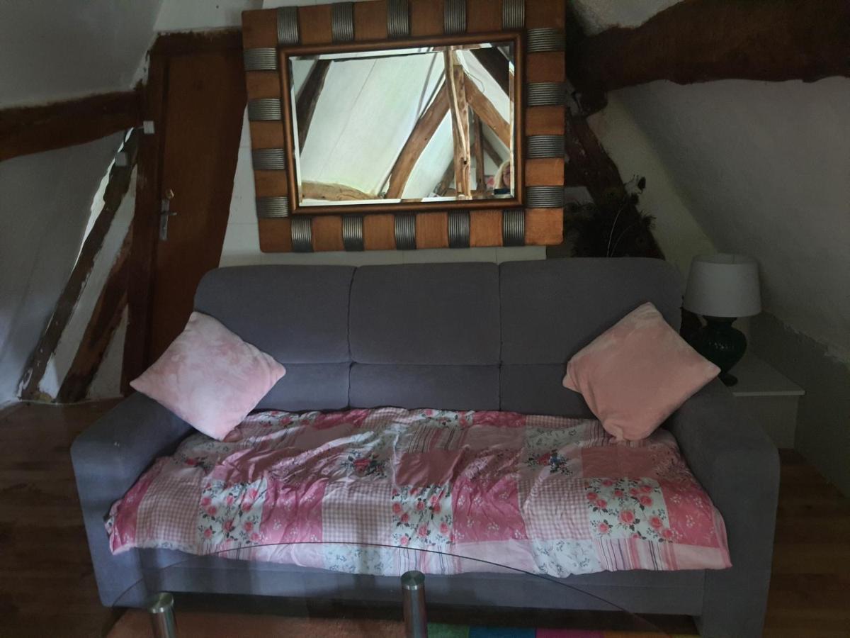 Chaumiere Du Chateau D'O Et Sa Mini Ferme ,Gite 21Couchages Goupil-Othon Buitenkant foto