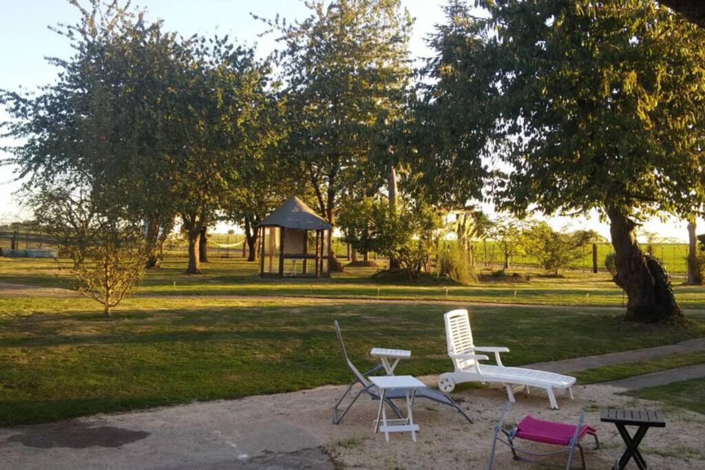 Chaumiere Du Chateau D'O Et Sa Mini Ferme ,Gite 21Couchages Goupil-Othon Buitenkant foto